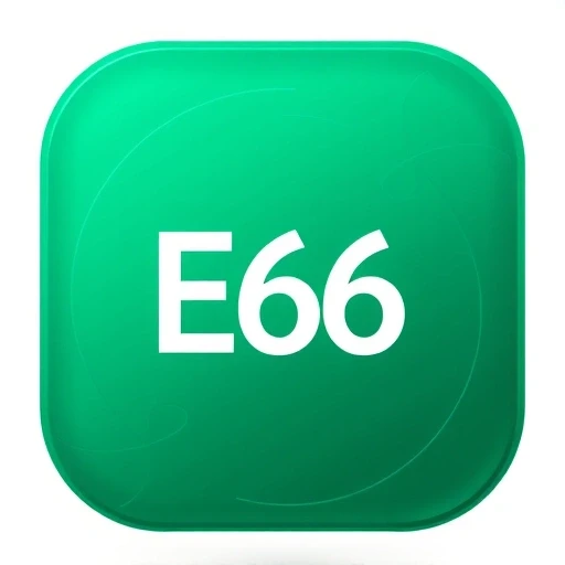 e66.com logo